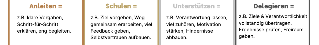 4 Handlungsoptionen je nach Reifegradmodell